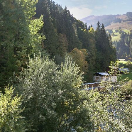 فيهوفن Apartment In Salzburgerland Near The Ski Area المظهر الخارجي الصورة