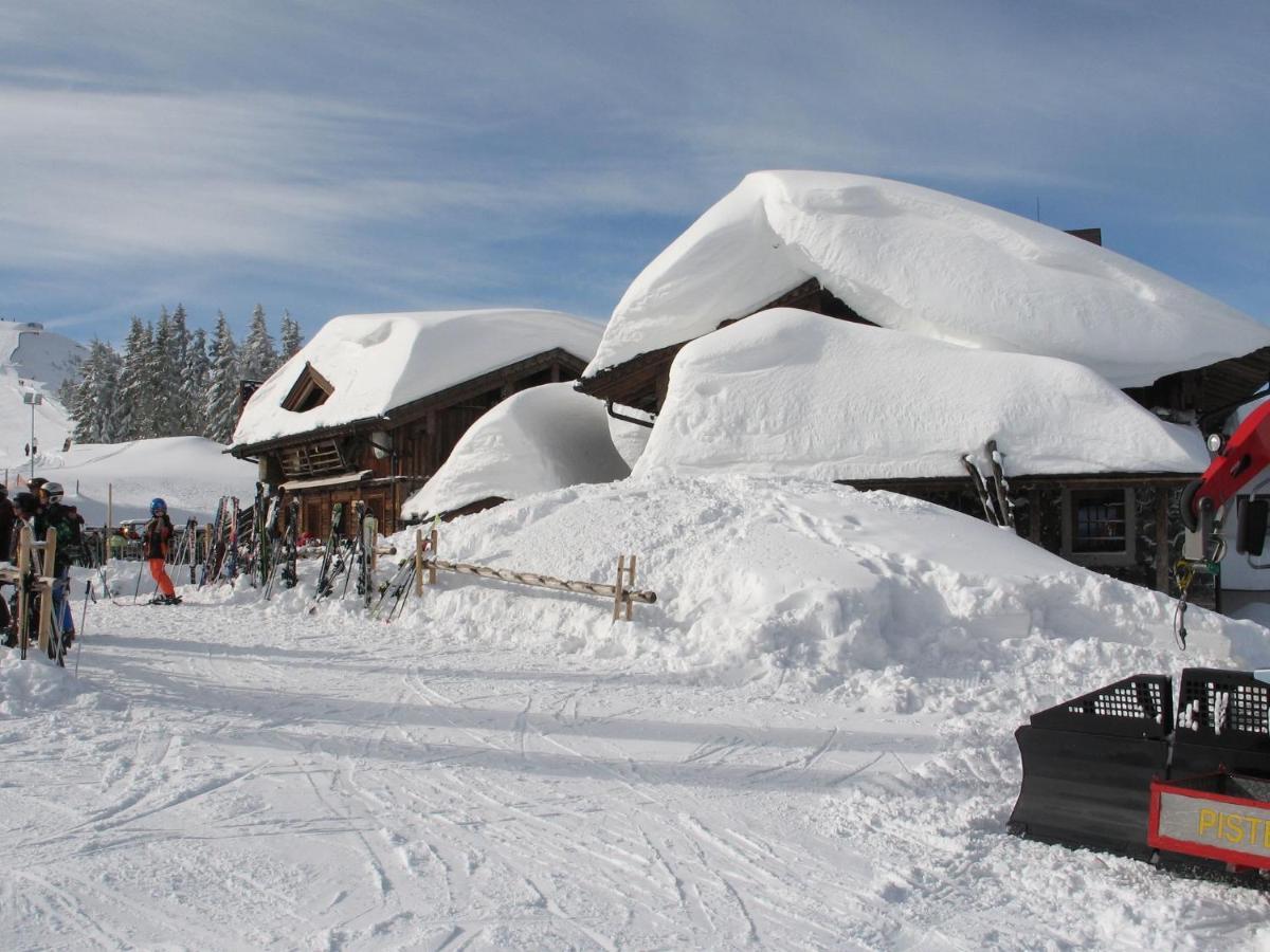 فيهوفن Apartment In Salzburgerland Near The Ski Area المظهر الخارجي الصورة