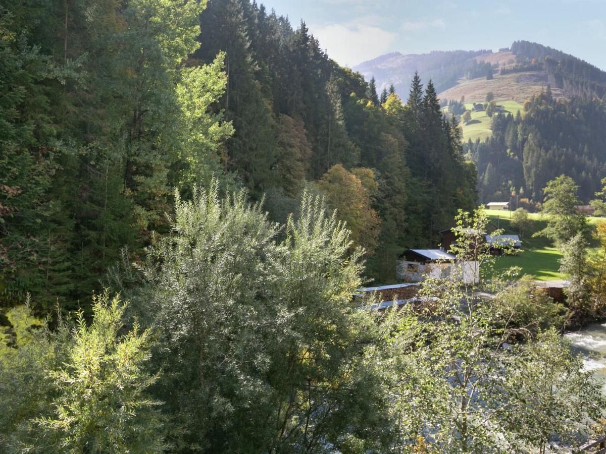 فيهوفن Apartment In Salzburgerland Near The Ski Area المظهر الخارجي الصورة