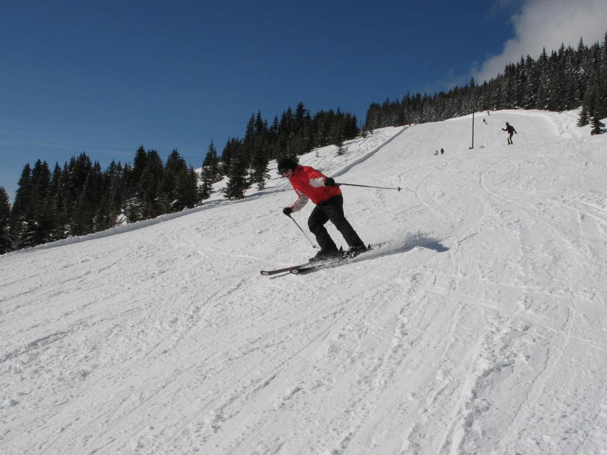 فيهوفن Apartment In Salzburgerland Near The Ski Area المظهر الخارجي الصورة
